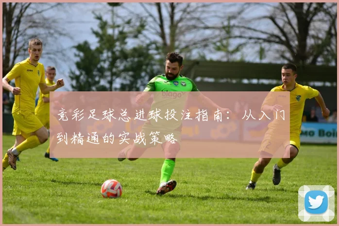 竞彩足球总进球投注指南：从入门到精通的实战策略