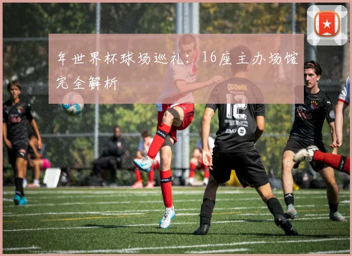 年世界杯球场巡礼：16座主办场馆完全解析
