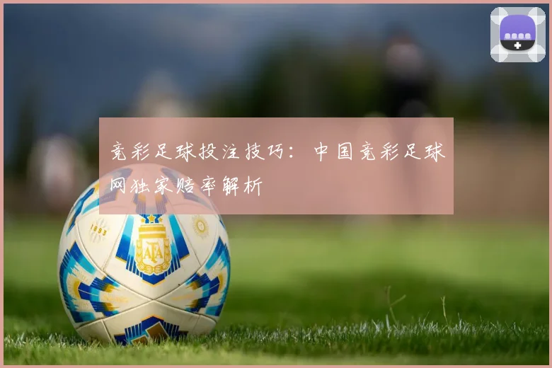 竞彩足球投注技巧：中国竞彩足球网独家赔率解析